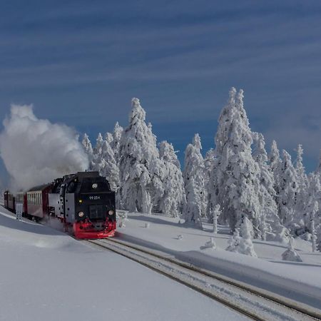 Fewo Fichte Mit Balkon #Netflix #Innestadtnaehe Von Harztraveler Бад-Гарцбург Екстер'єр фото