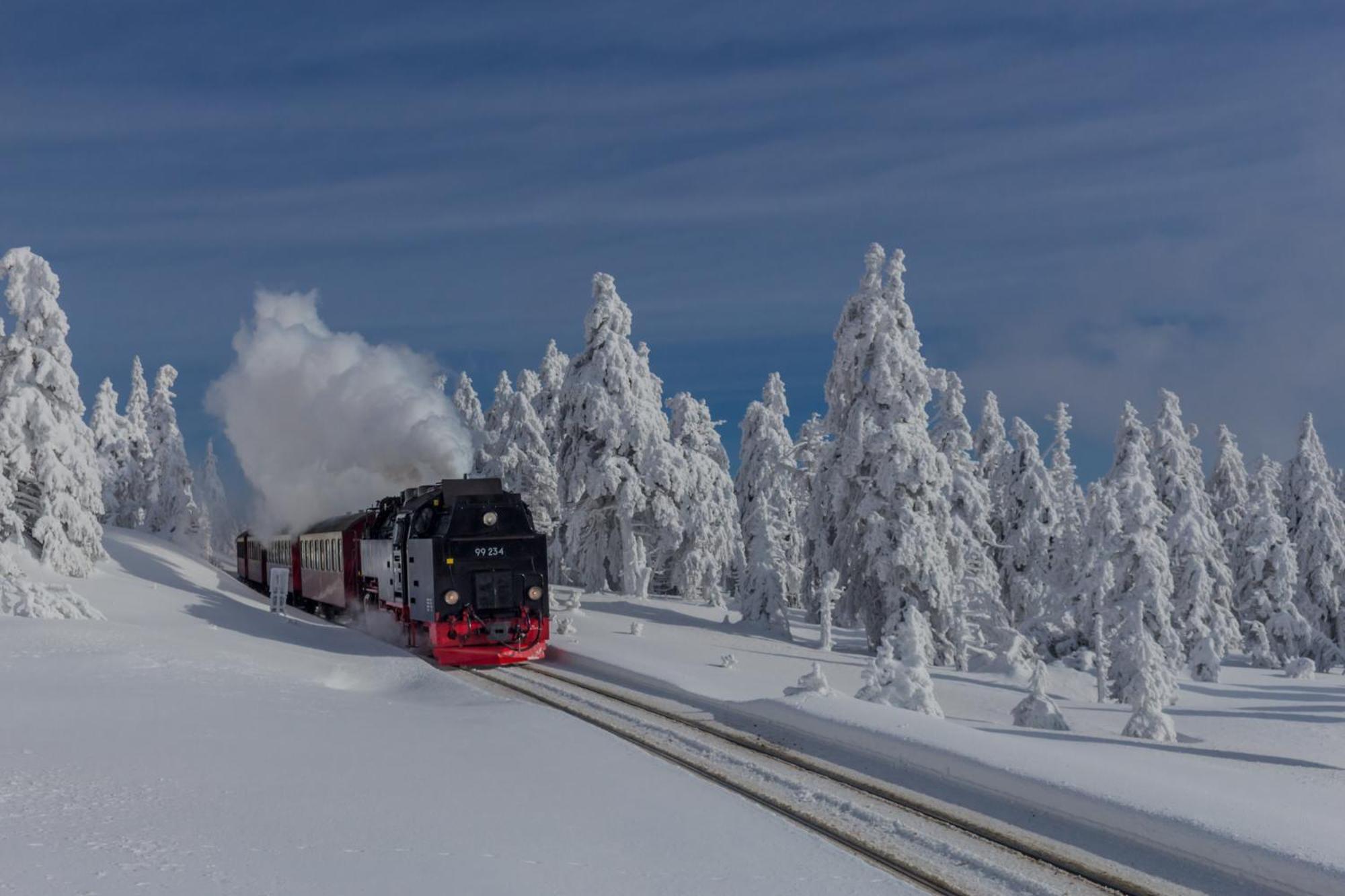 Fewo Fichte Mit Balkon #Netflix #Innestadtnaehe Von Harztraveler Бад-Гарцбург Екстер'єр фото